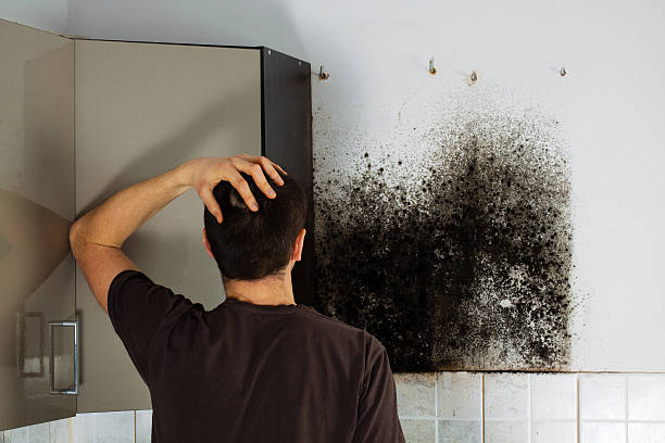 Best Crawl Space Mold Remediation in Rancho Alegre, TX